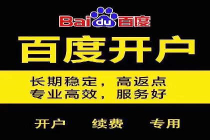SEM竞价员的核心技能与成功案例解析